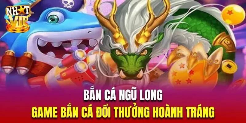 Bắn Cá Ngũ Long Nhatvip - Game 3D Đổi Thưởng Hấp Dẫn Nhất Bắn Cá Ngũ Long Nhatvip - Game 3D Đổi Thưởng Hấp Dẫn Nhất